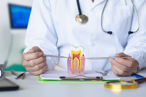 Best Emergency Tooth Extraction in Somerville, TX